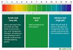 Are Most Soils Acidic or Basic