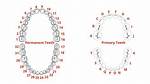 Are Numbers Universal