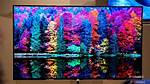 Are Oled Worth It?