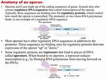 Are Operators Proteins