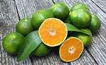 Are Oranges Green