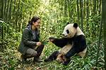 Are Pandas Friendly