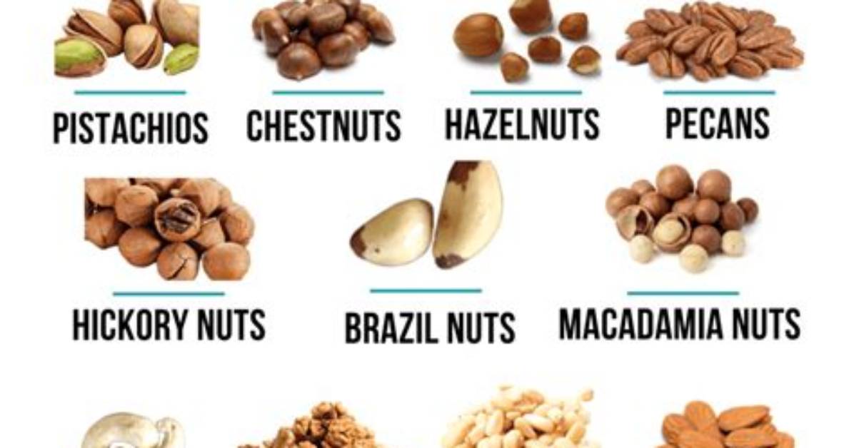 Are Peanuts Tree Nuts?