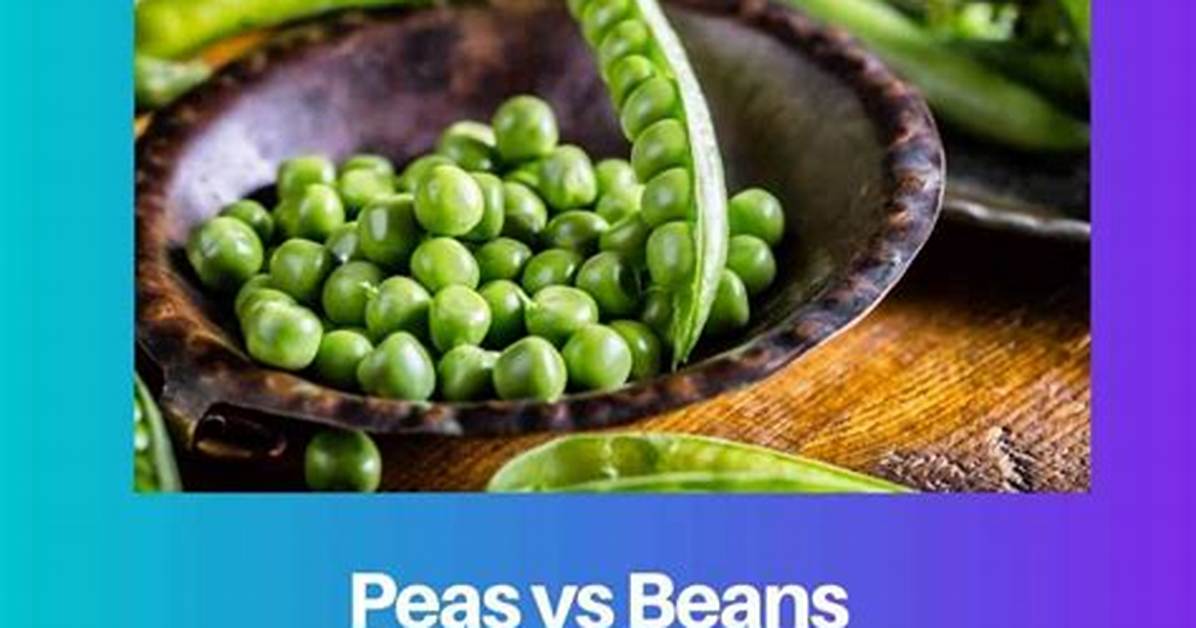 Are Peas Beans