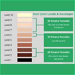 Are Peroxide and Developer the Same Thing?