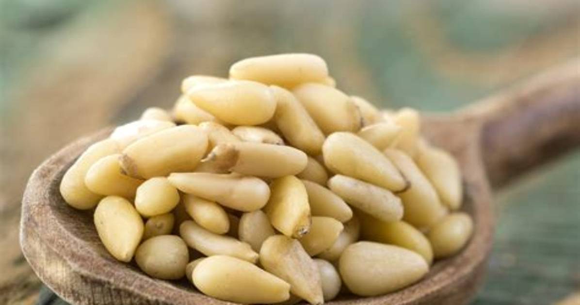 Are Pine Nuts Toxic?