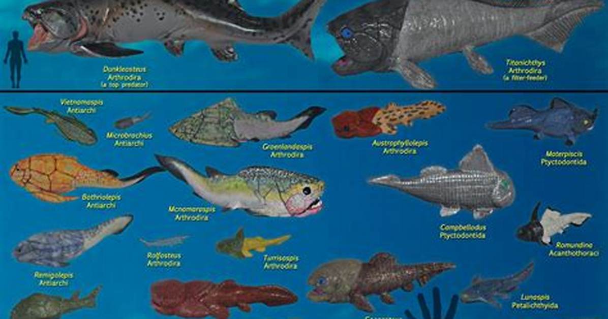 Are Placoderms Carnivores