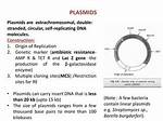 Are Plasmids Double Stranded?