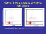 Are Polyclonal B Cells Normal?