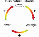 Are Positive Feedback Loop?