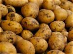 Are Potatoes a Vegetable?