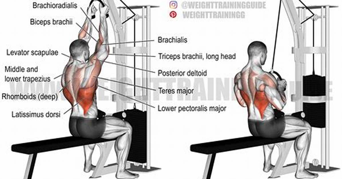 Are Pull Down Exercise Effective?