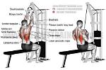 Are Pull Down Exercise Effective?