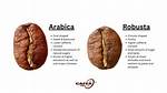 Are Robusta Beans Bad?
