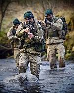 Are Royal Marines Commandos?