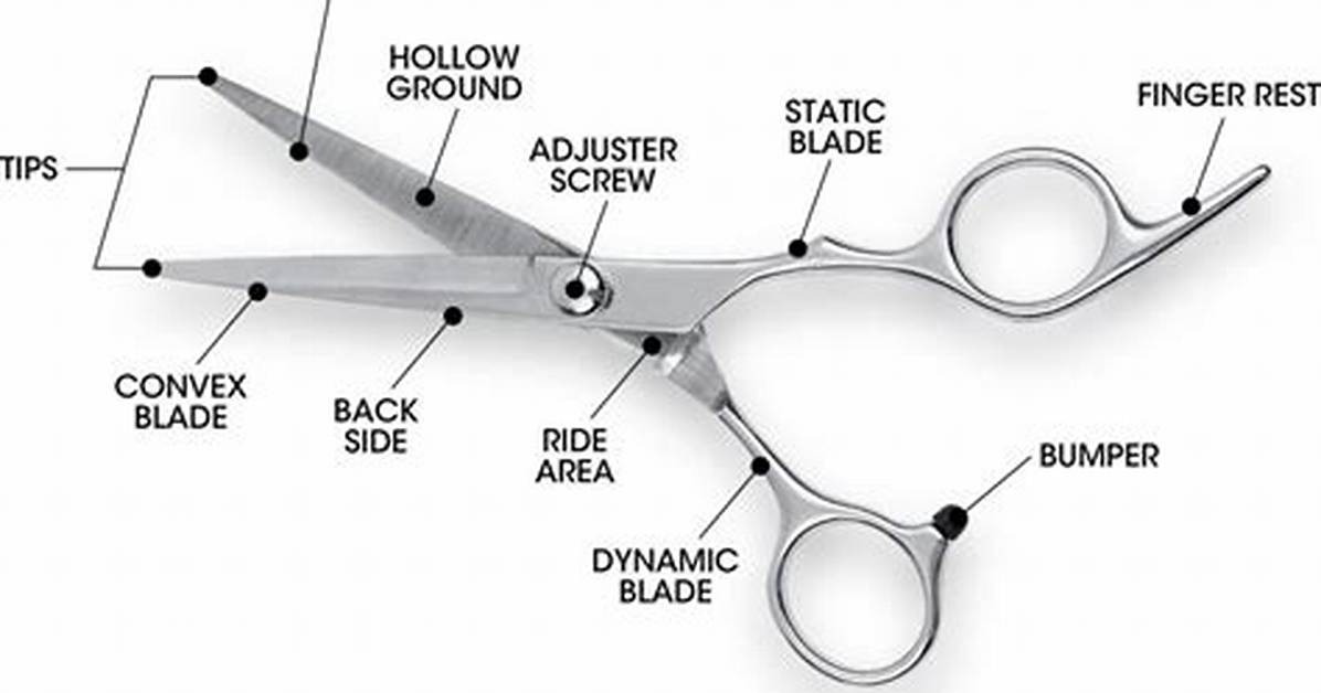 Are Scissors Called Shears