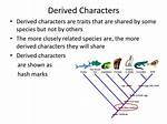Are Shared Derived Characters?