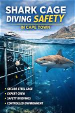 Are Shark Diving Safe?