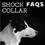 Are Shock Collars Harmful