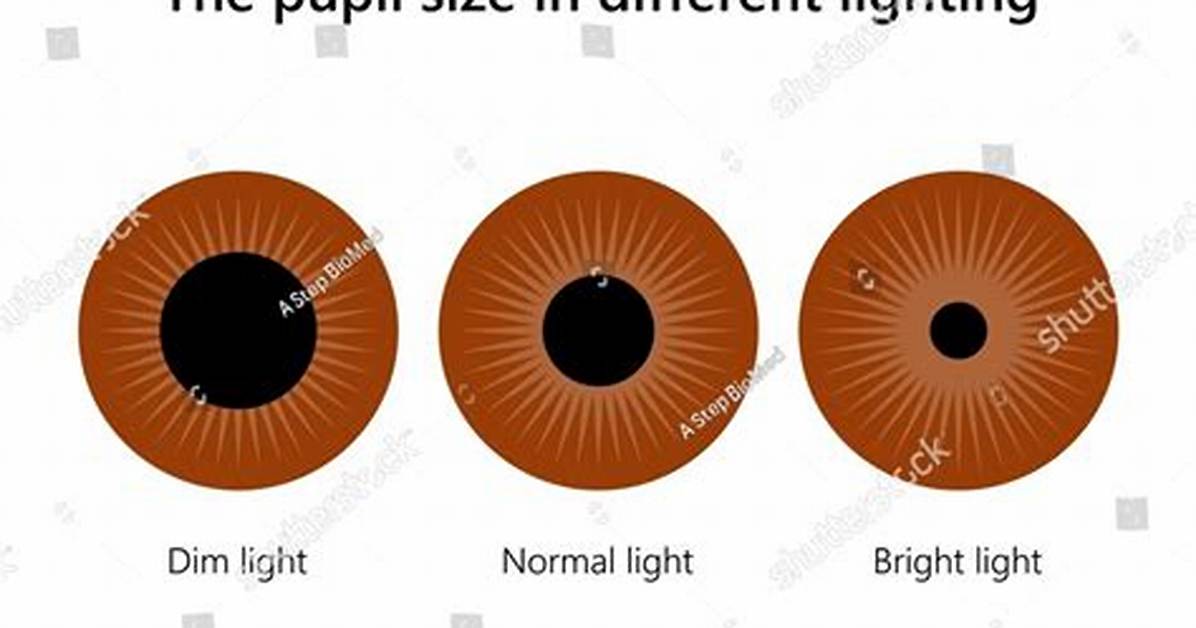 Are Small Pupils Normal?