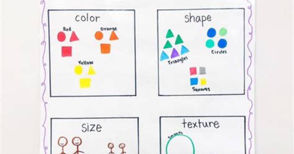 Are Sorting and Classifying the Same?