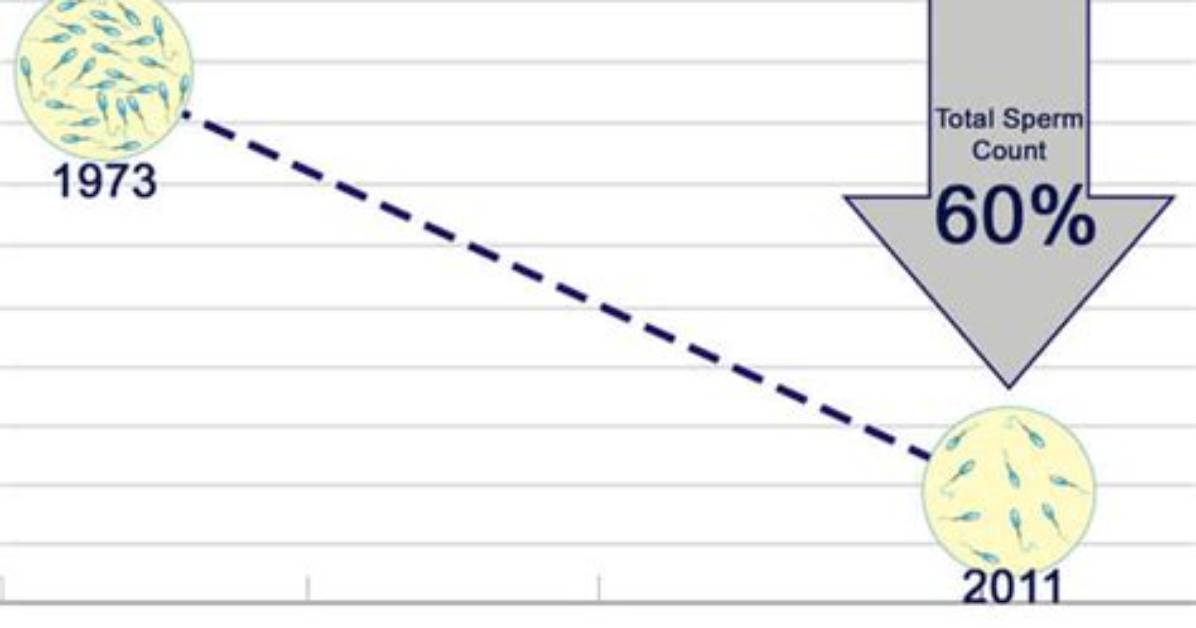 Are Sperm Counts Declining?