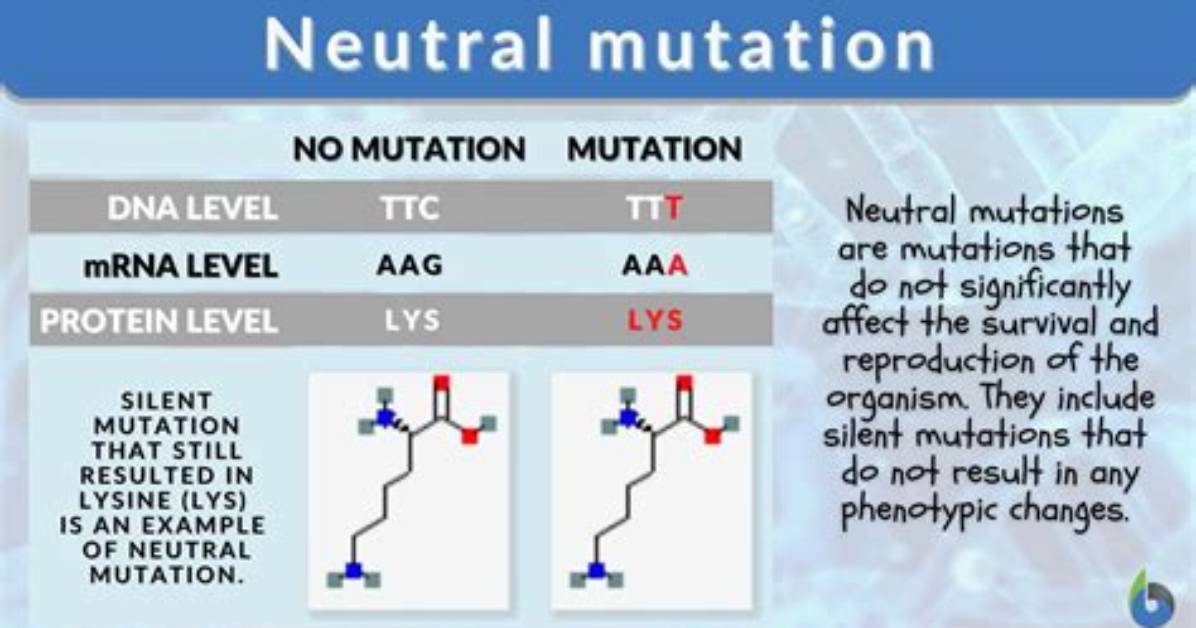 Are Synonymous Mutations Neutral?