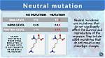 Are Synonymous Mutations Neutral?
