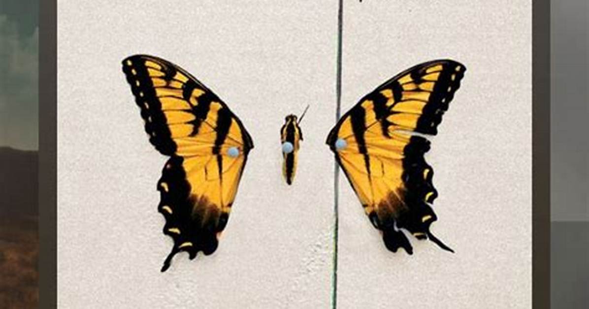 Are the Only Exception?