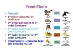 Are Third Order Consumers?