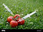 Are Tomatoes Injected