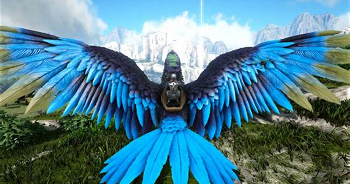 Argy Ark