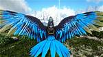 Argy Ark