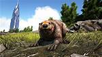 Ark Castoroides