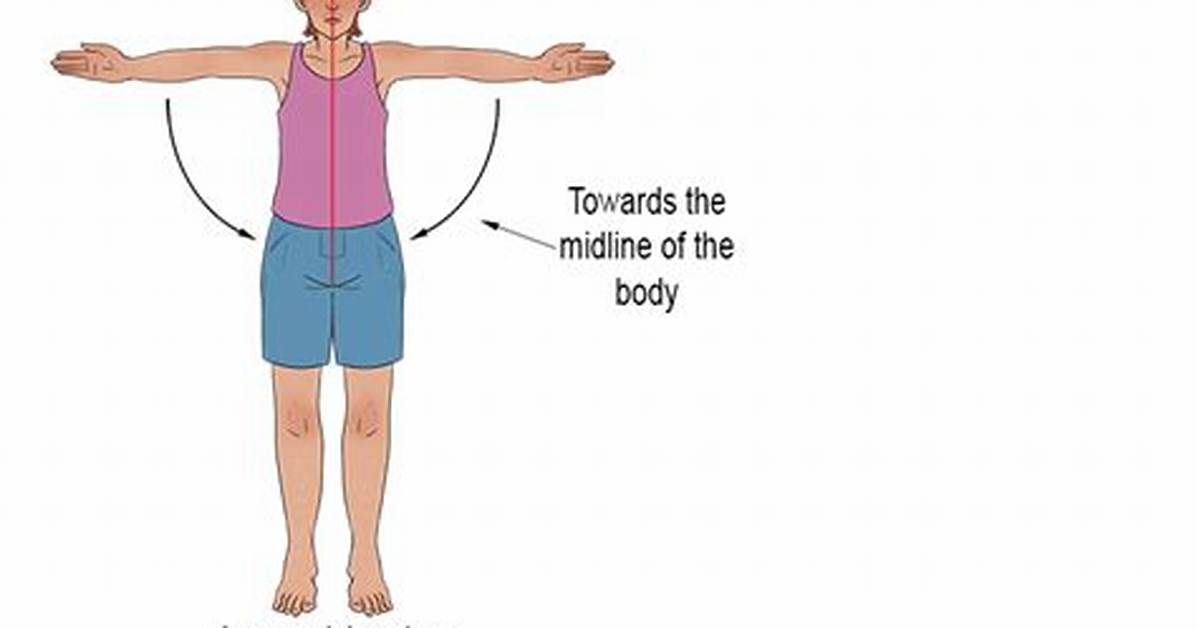 Arm Adduction