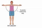 Arm Adduction