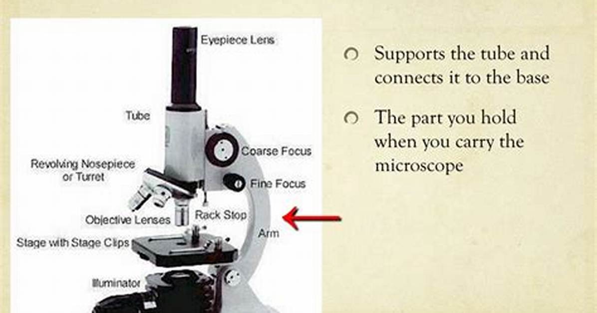 Arm Microscope Function