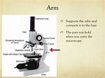 Arm Microscope Function