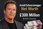 Arnold Schwarzenegger Net Worth, Income and Estimated Earnings of Youtuber Channel