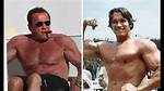 Arnold Schwarzenegger Taille Poids