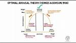 Arousal Theory Example
