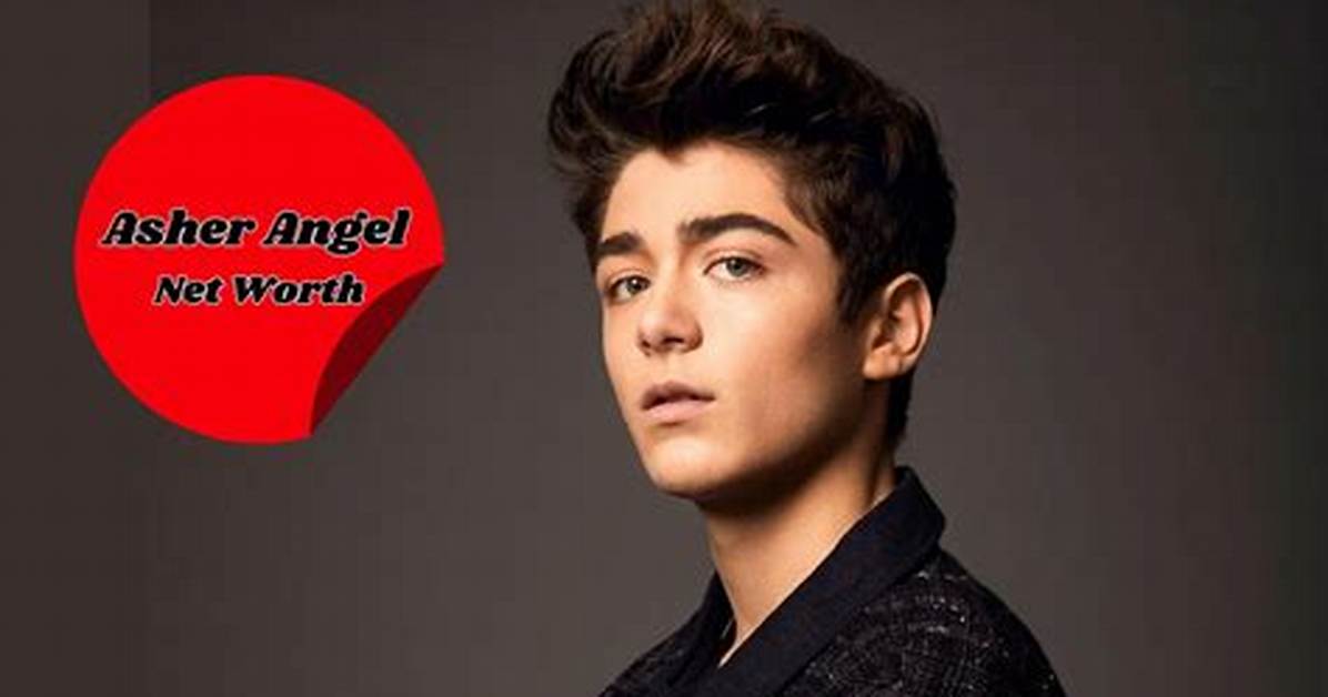 Asher Sheets Net Worth