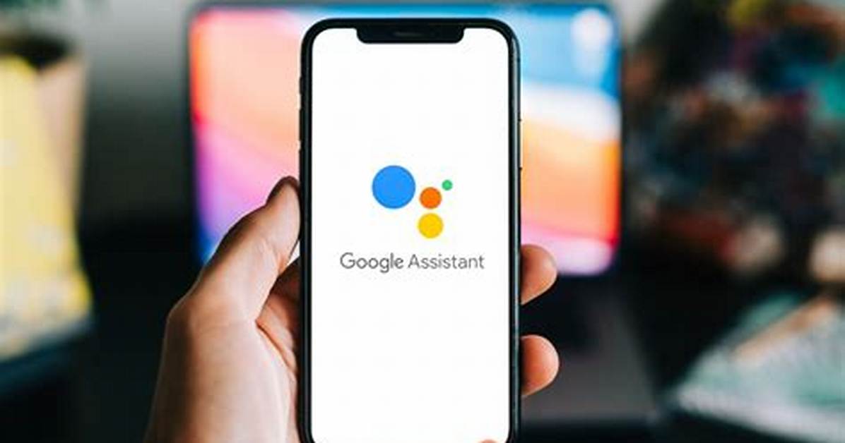 Assistant
