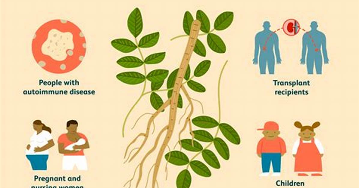 Astragalus Side Effects