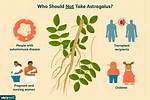 Astragalus Side Effects