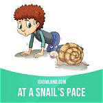 At a Snail's Pace Example?