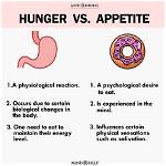 At Does Appetite Mean?