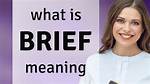 At Does Brief Mean?
