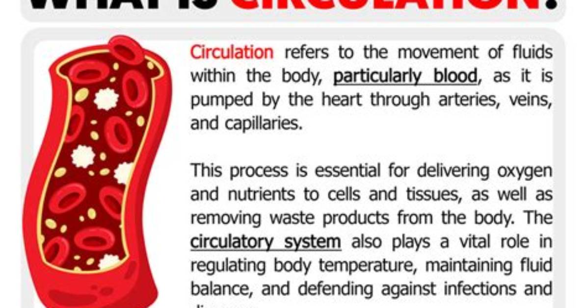 At Does Circulation Mean?