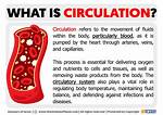 At Does Circulation Mean?
